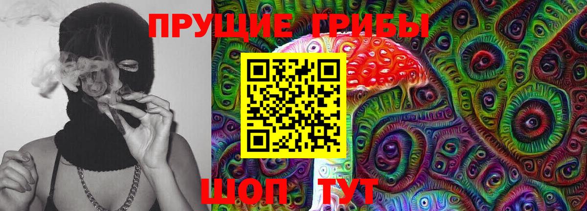 Избербаш  Галлюциногенные грибы MAGIC MUSHROOMS  Вход с VPN  купить   Псилоцибиновые грибы мухоморы 