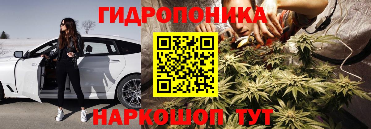 Бошки Шишки индика Избербаш